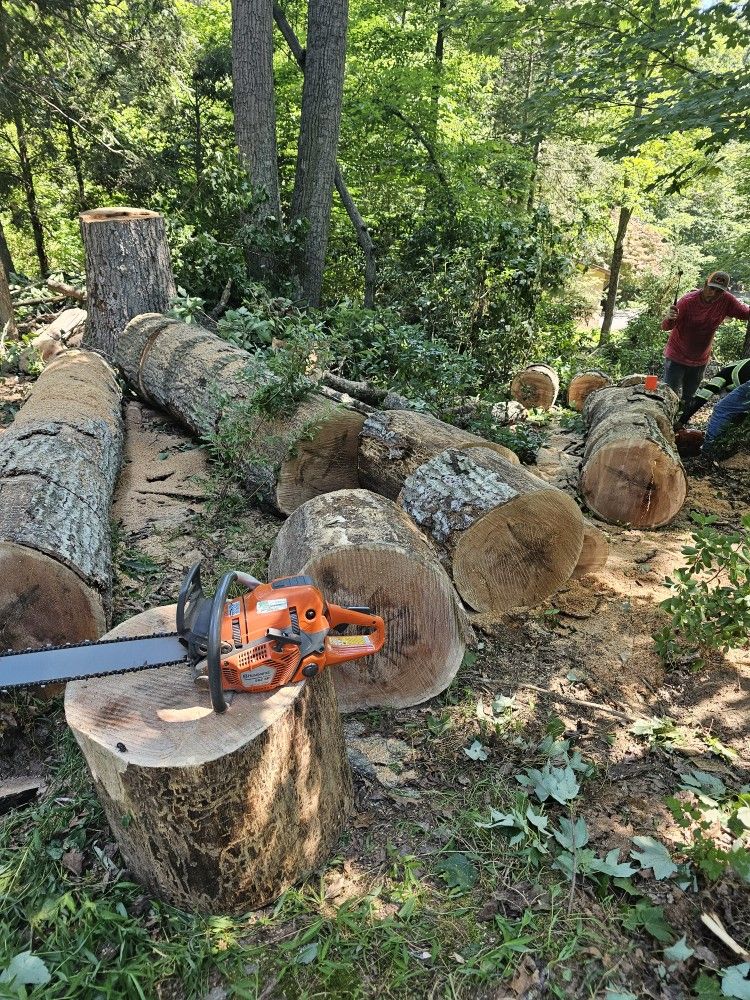 Klein - Holz – Verladung und Lieferung