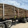 Stammholz Mix Buche & Eiche – 50,2 RM Komplett-LKW