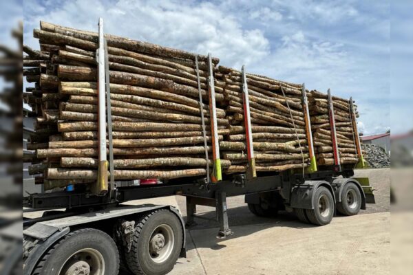 Stammholz Mix Buche & Eiche – 50,2 RM Komplett-LKW