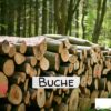 Buchen-Stammholz – 20 RM (Halb-LKW) / 40 RM (Komplett-LKW)