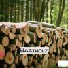 Stammholz Hartholz – 20 RM (Halb-LKW) / 40 RM (Komplett-LKW)