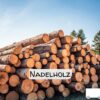 Stammholz Nadelholz – 20 RM (Halb-LKW) / 40 RM (Komplett-LKW)