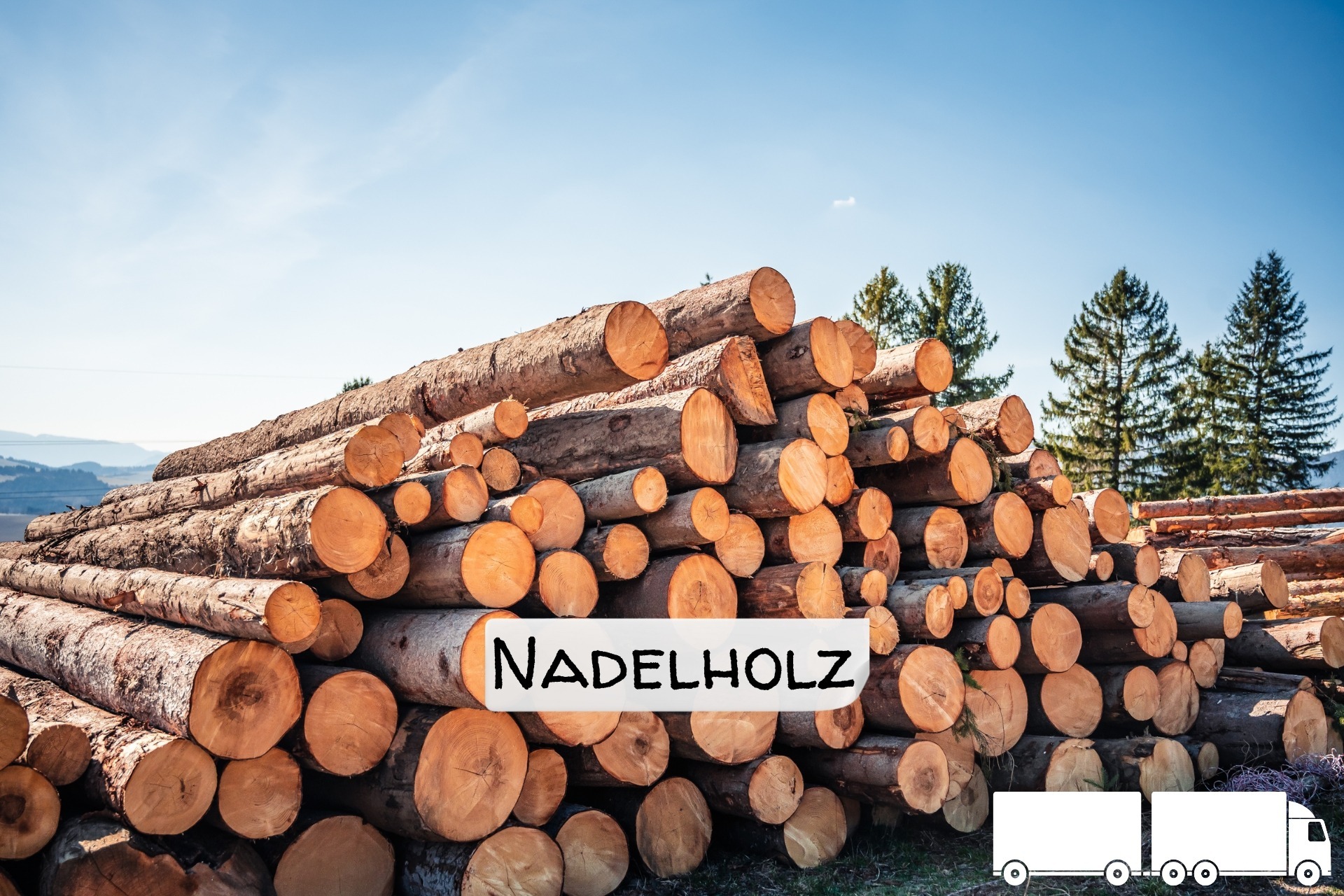 Stammholz Nadelholz – 20 RM (Halb-LKW) / 40 RM (Komplett-LKW)